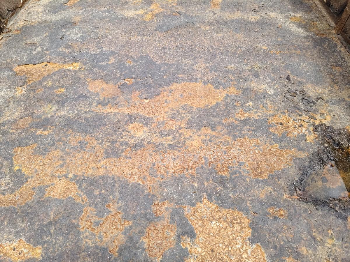 ટોલી ટેકટર