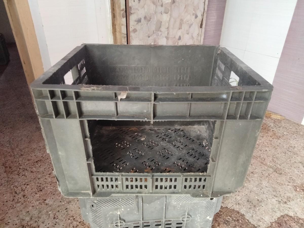 કબુતર વેચવાના છે