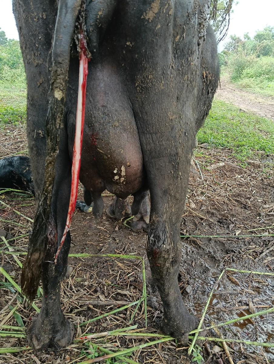 થંબનેલ 3