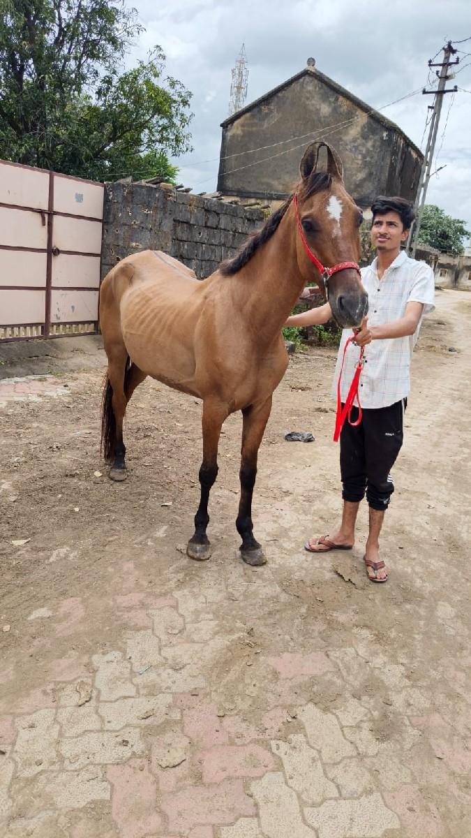 થંબનેલ 2