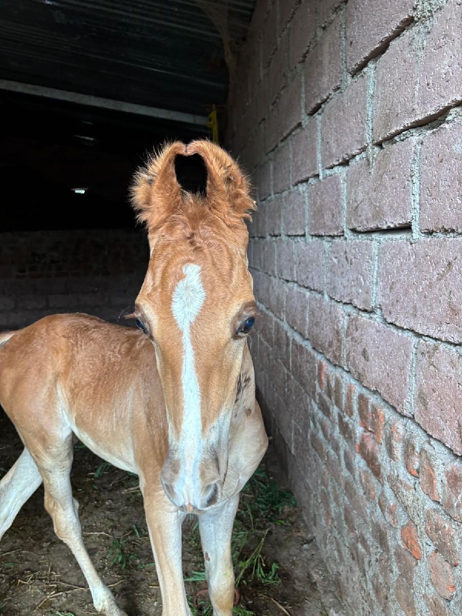 થંબનેલ 3