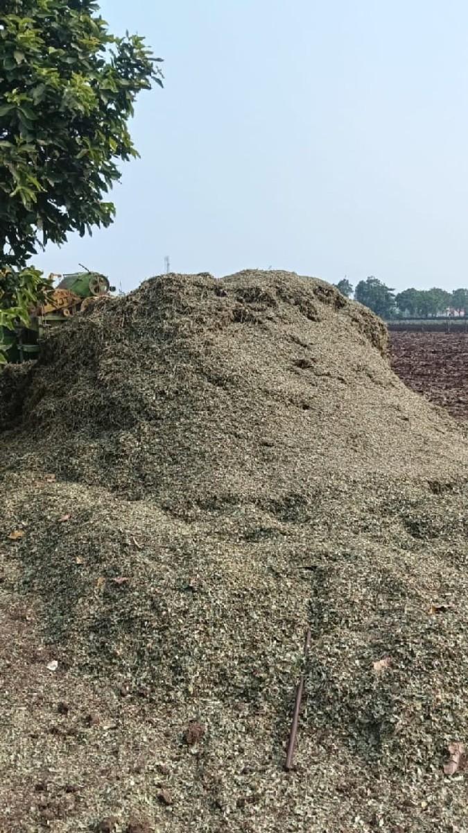 મગફળી નો સુકો ચારો