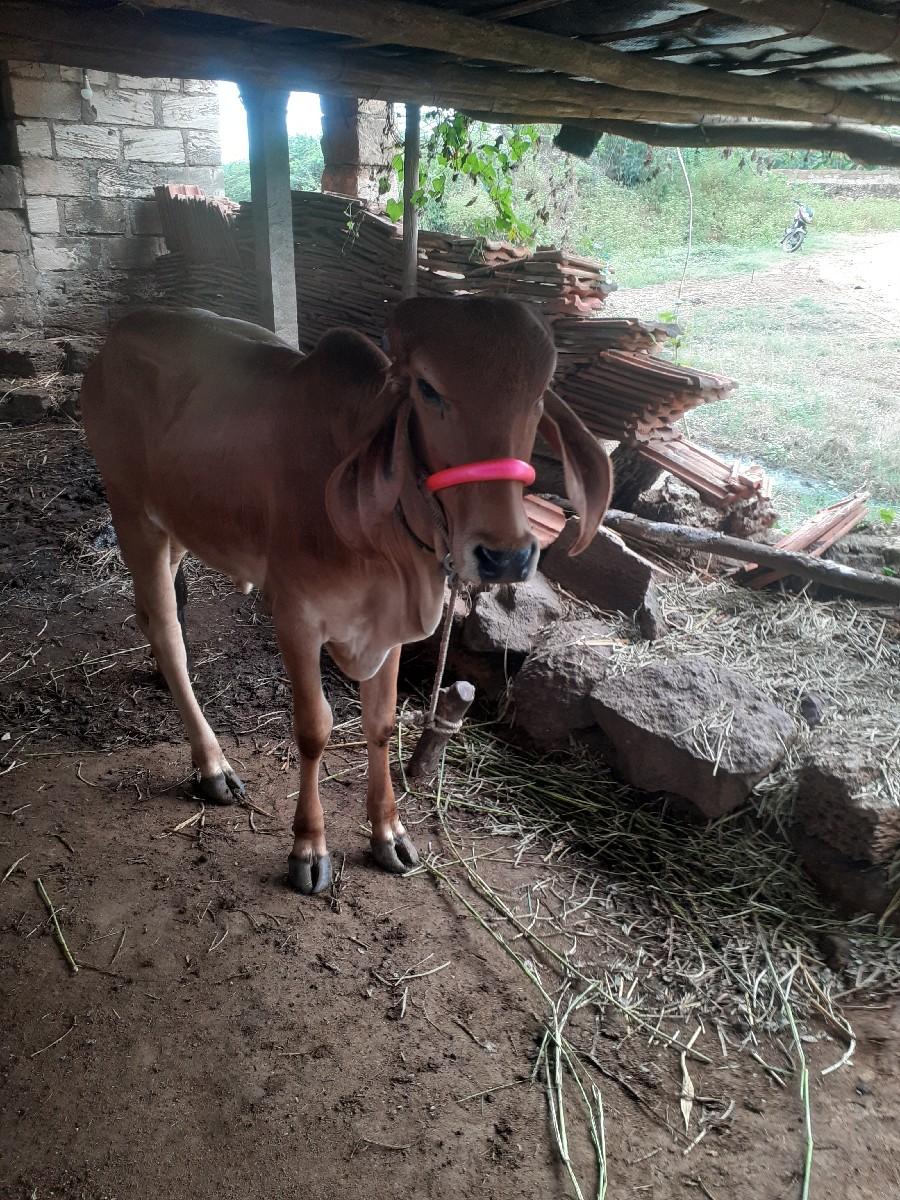 थंबनेल 3