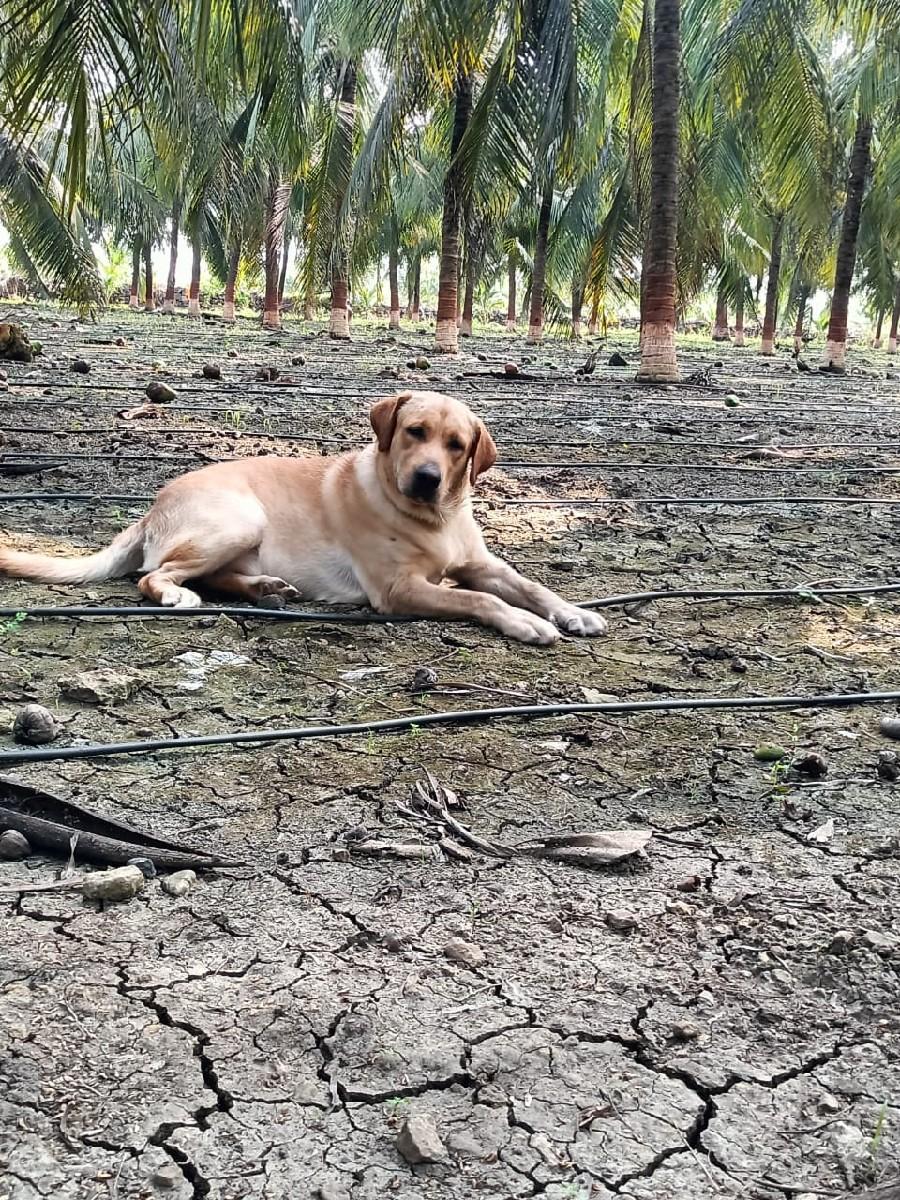 થંબનેલ 3