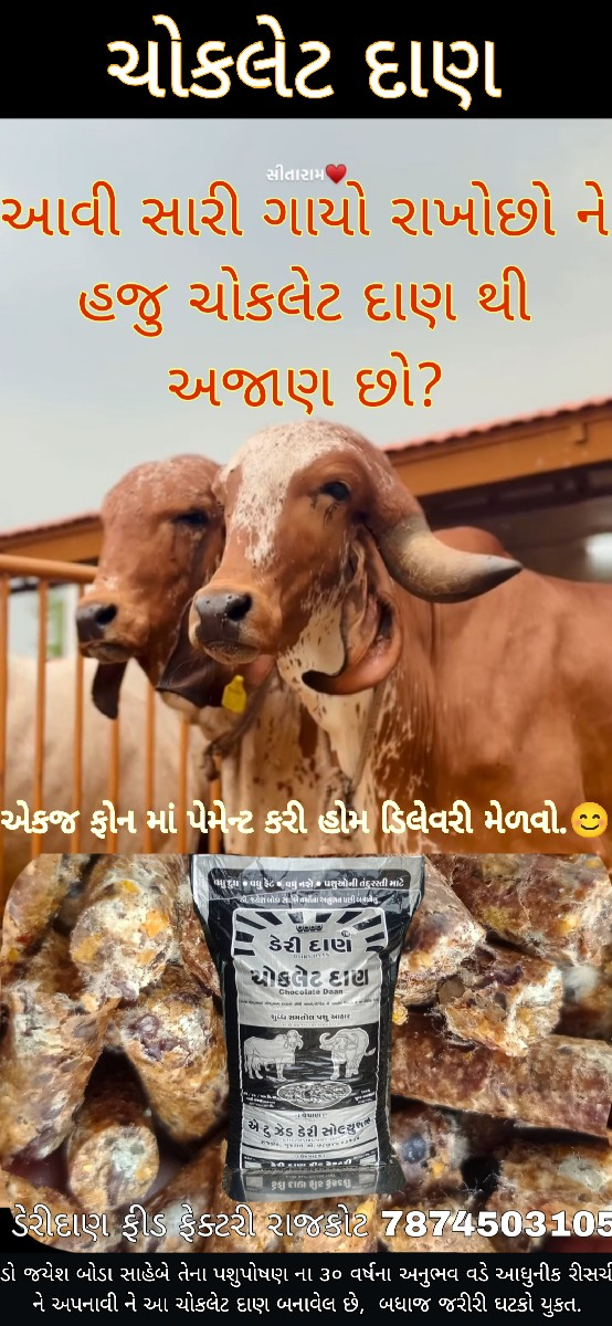 थंबनेल 4