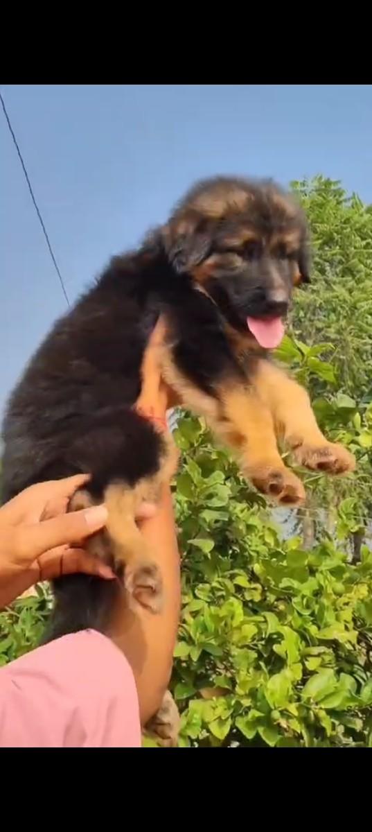 થંબનેલ 2