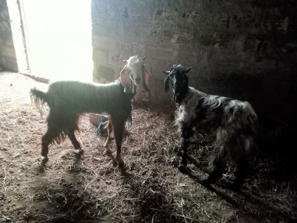 थंबनेल 3