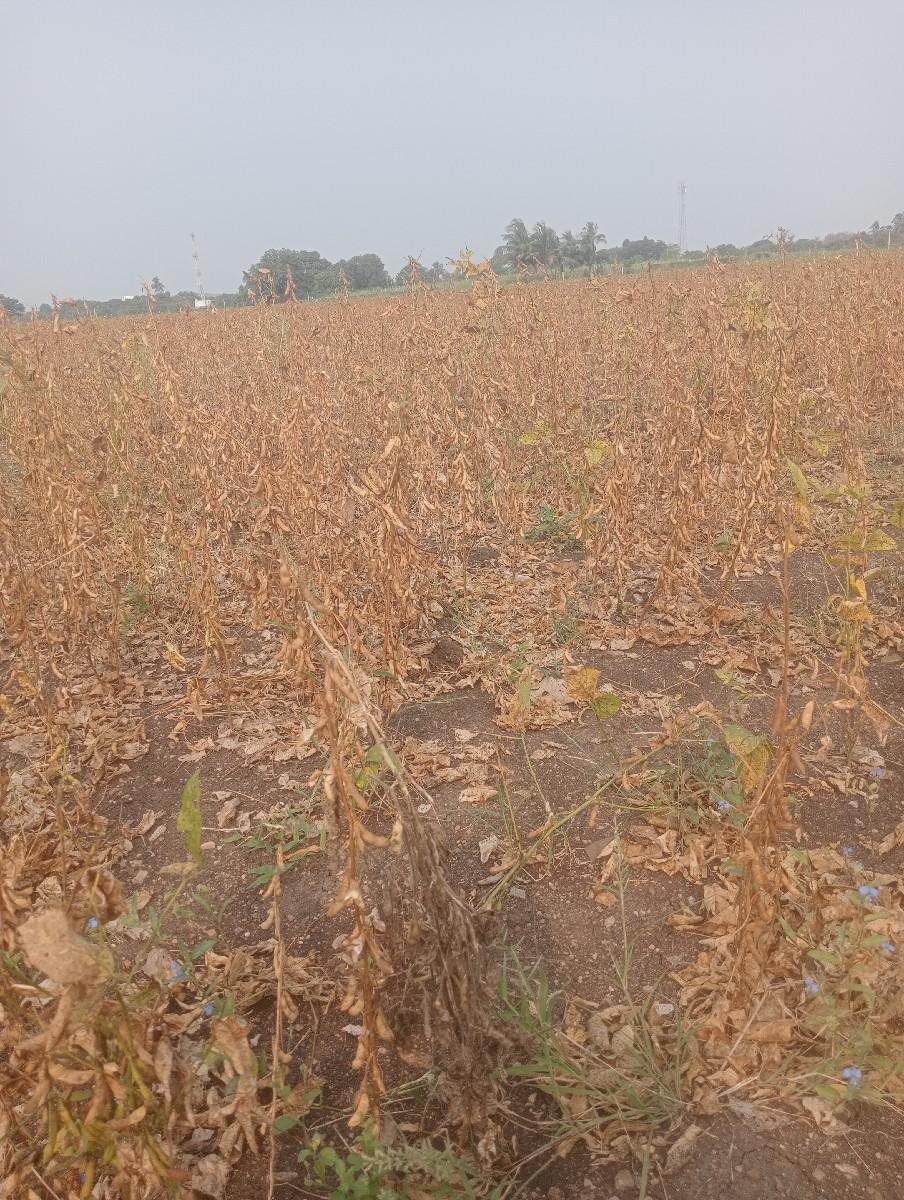 જે કોઈ ને જમીન લેવી હોય તે મને