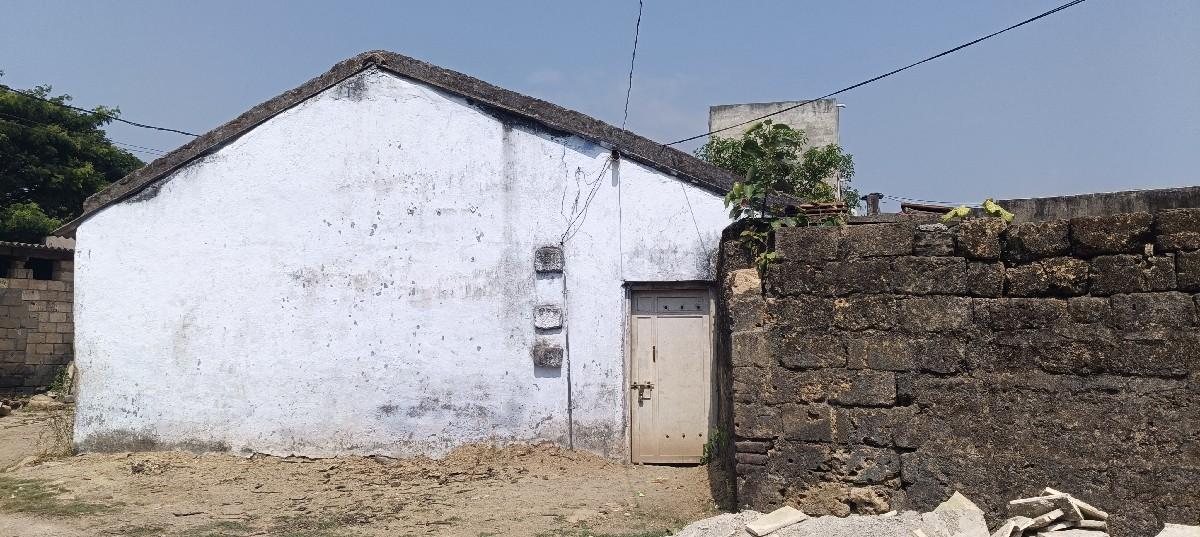 થંબનેલ 2