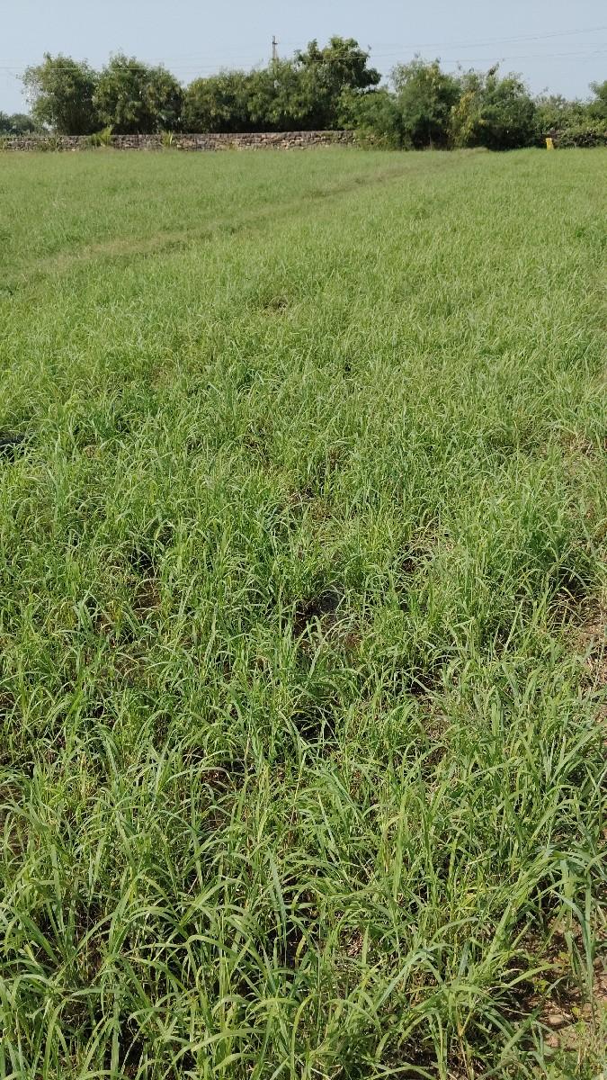 જમીન વેચવાની છે