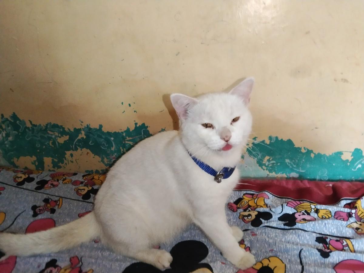 થંબનેલ 2