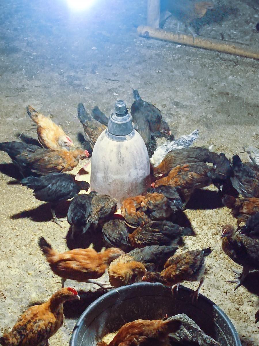 થંબનેલ 3