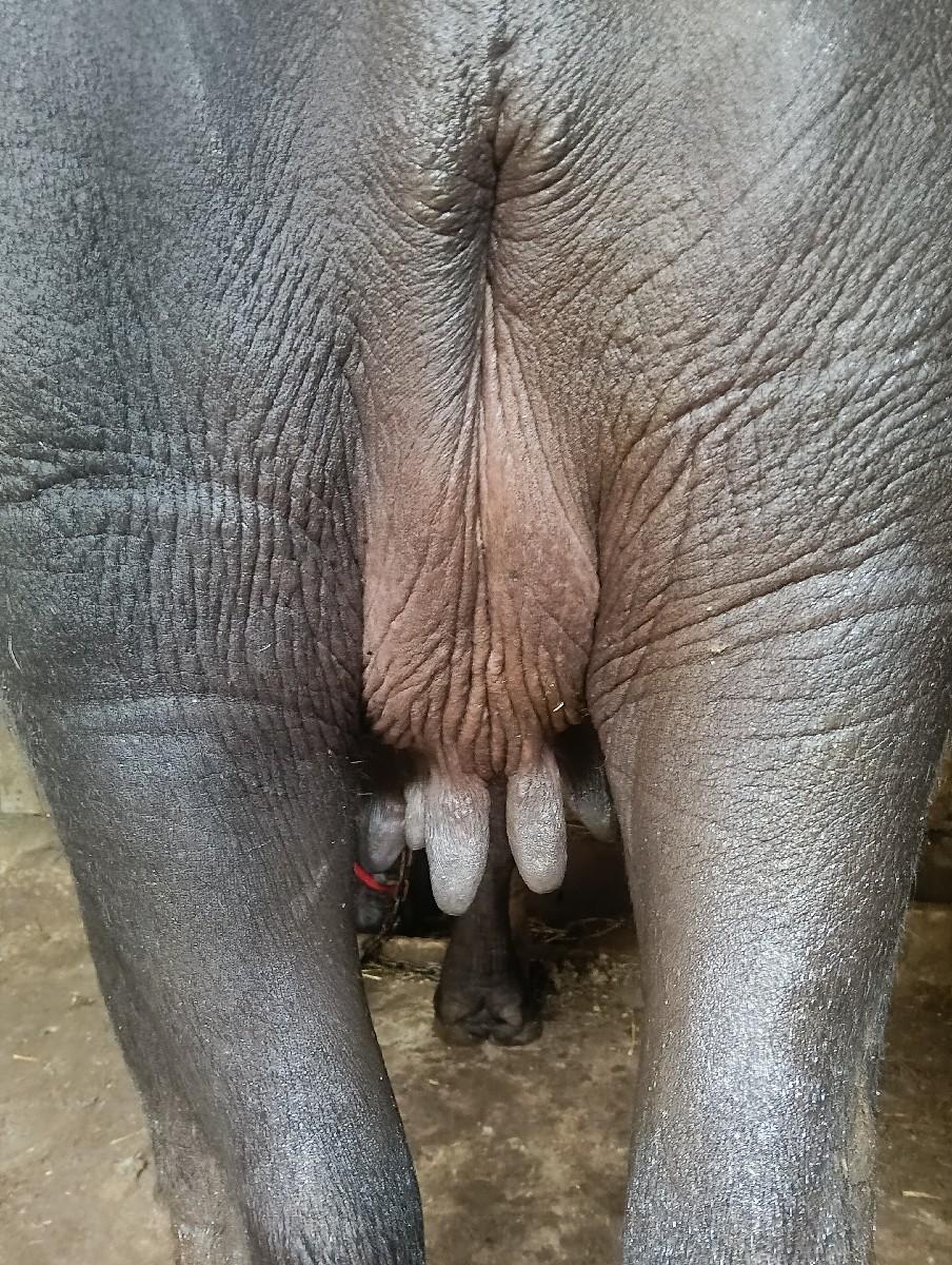 થંબનેલ 3