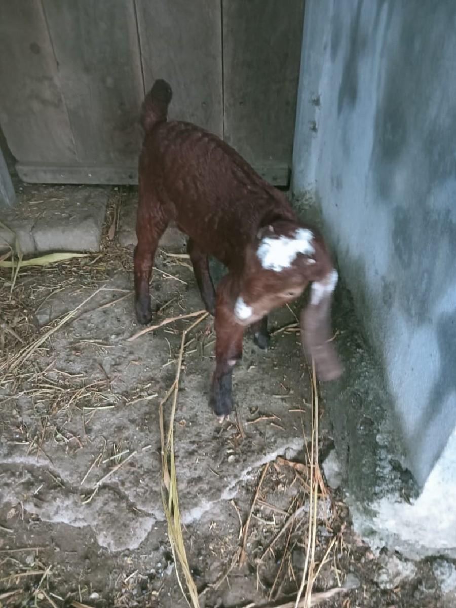 થંબનેલ 2