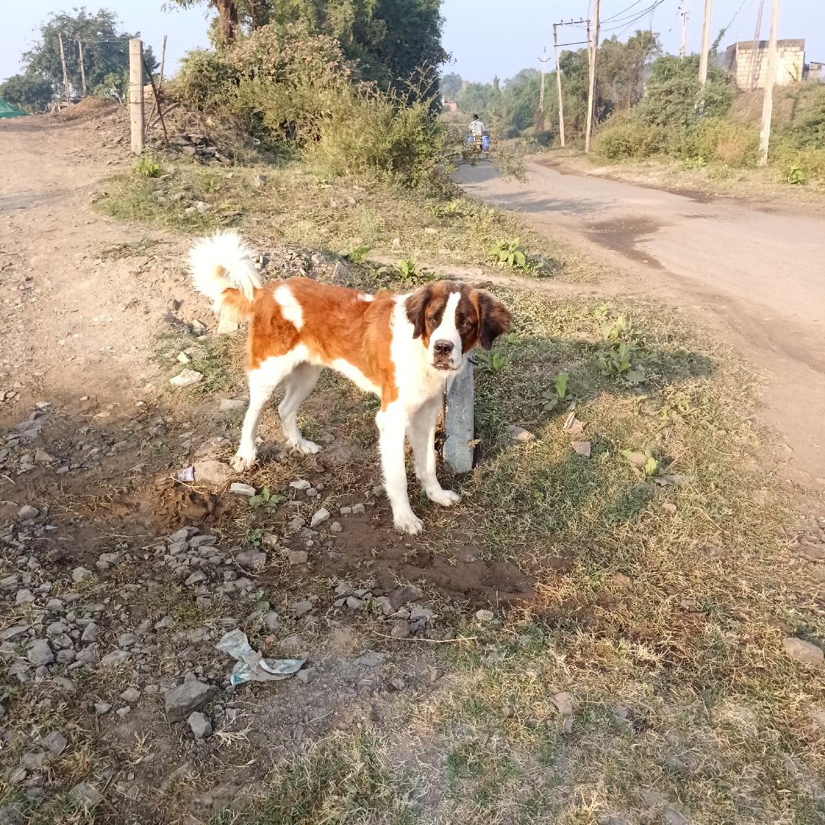 थंबनेल 3