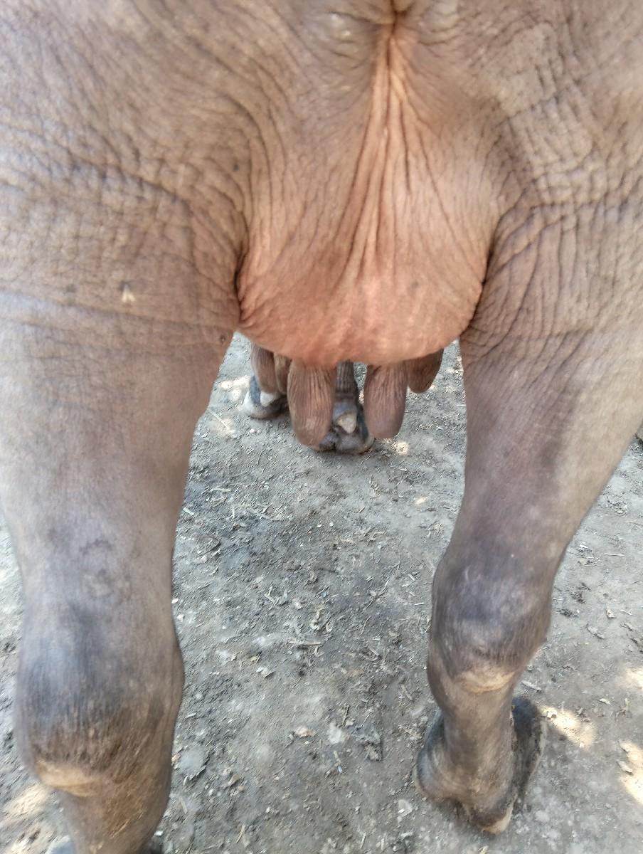 થંબનેલ 3