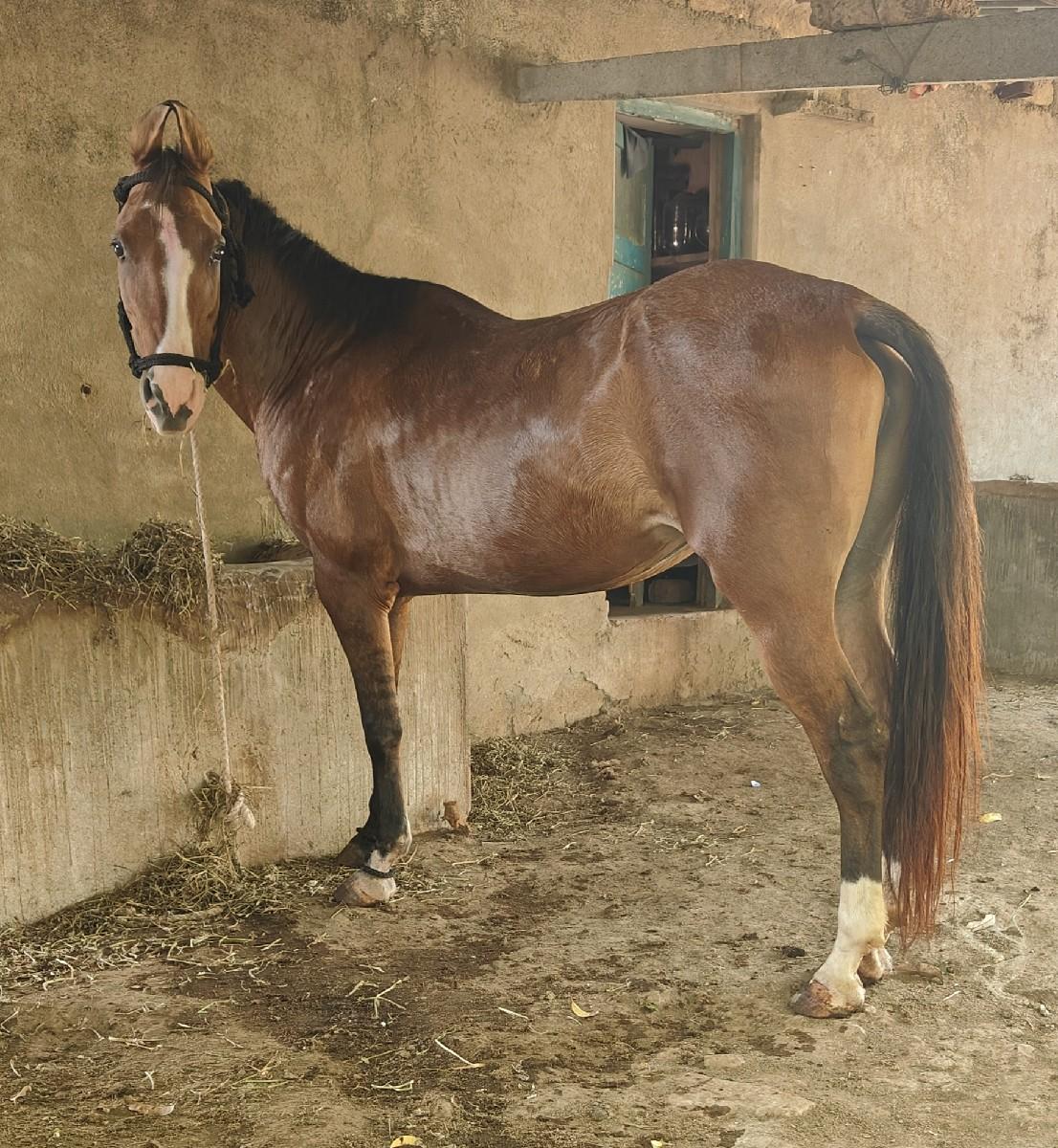 થંબનેલ 2