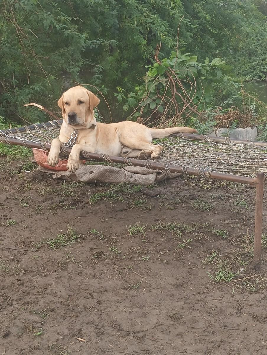 થંબનેલ 3