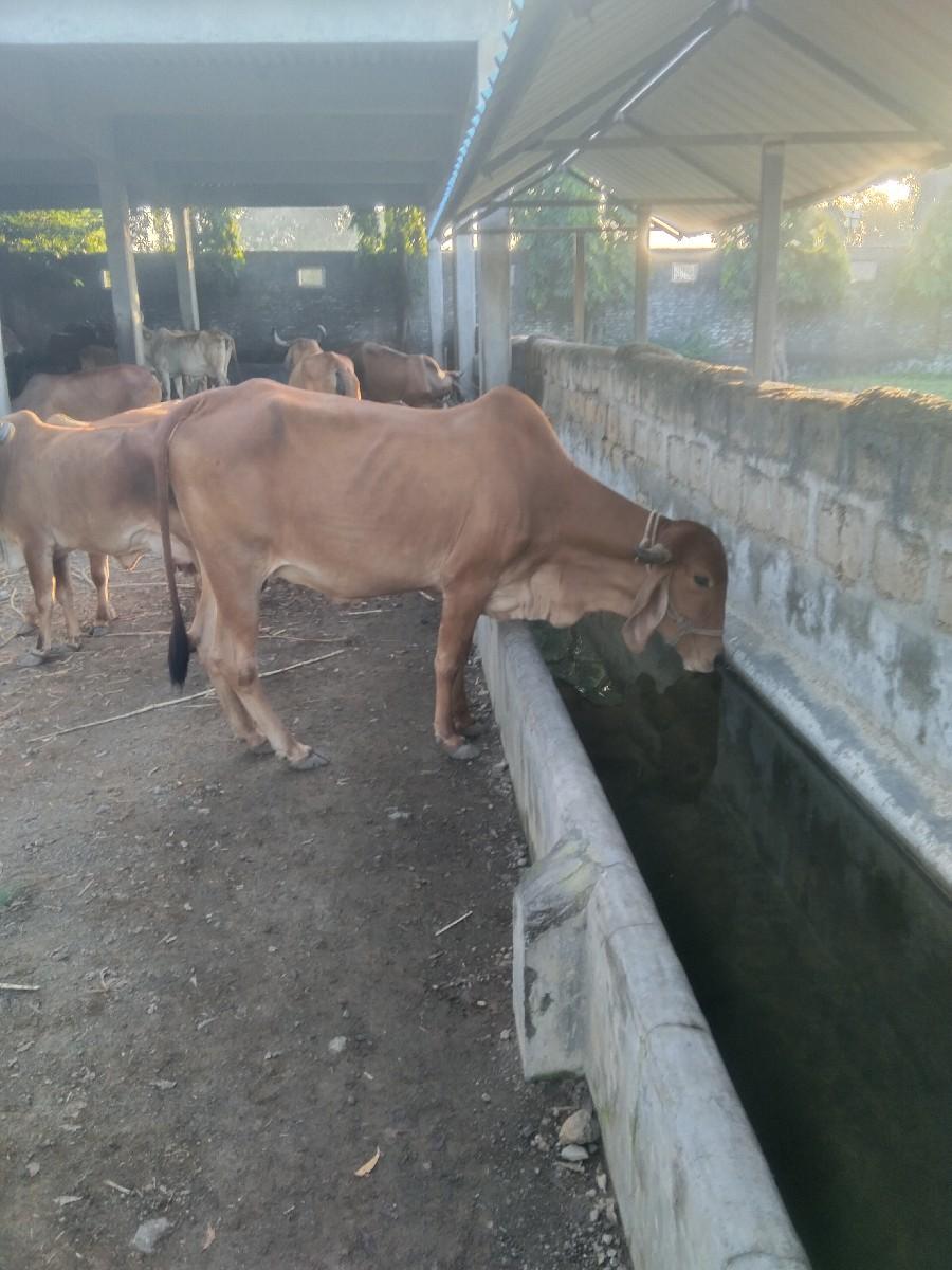 થંબનેલ 3