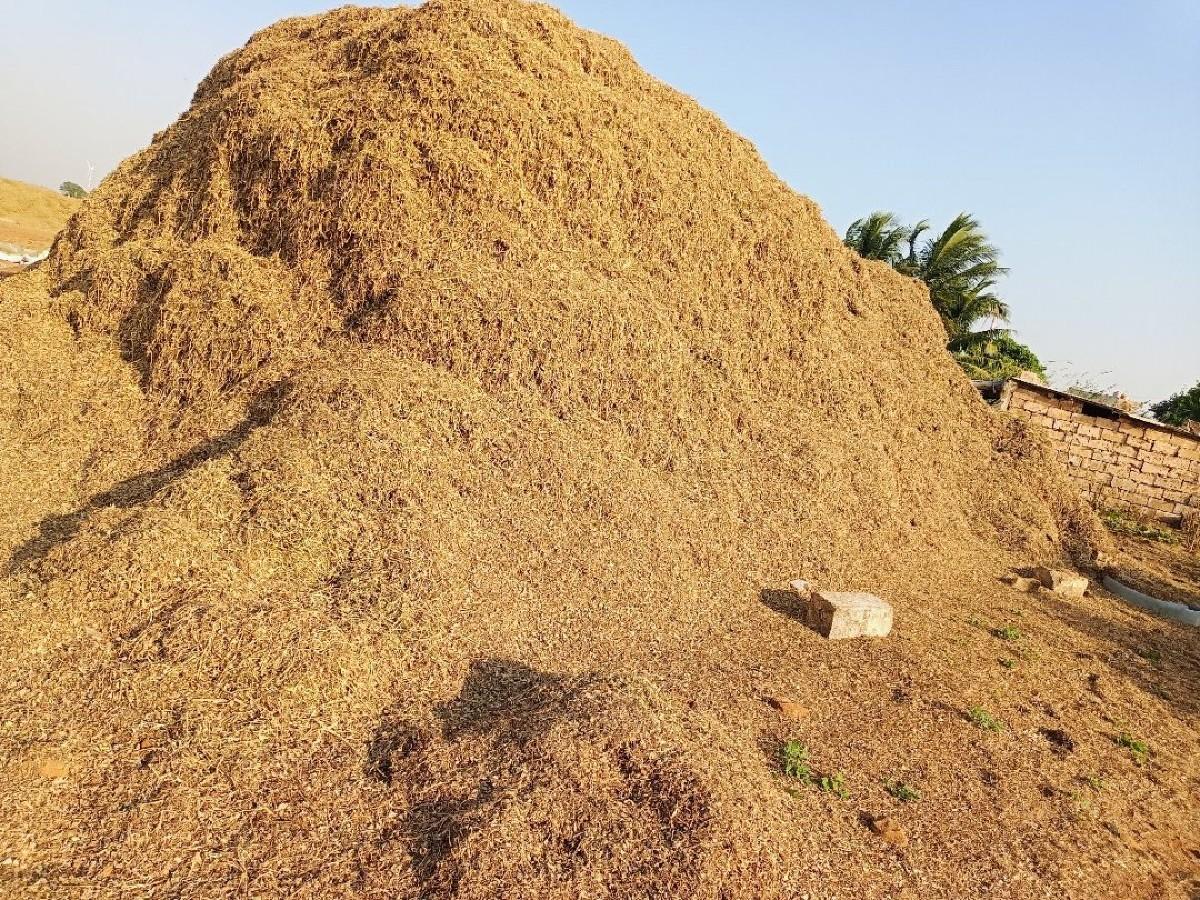 10 વિધાનો પાલો. કોરો G20 magfali