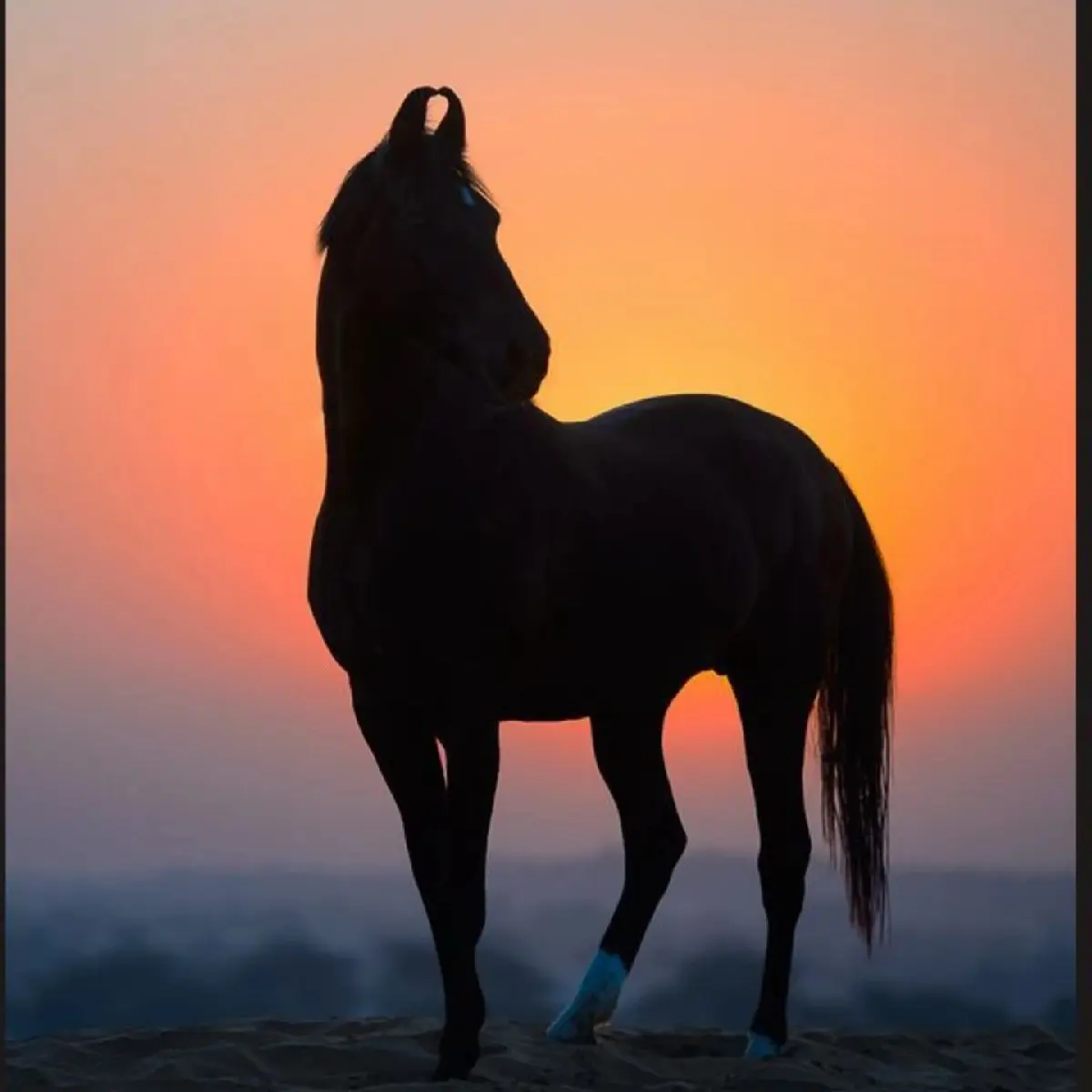 સાટા કરવા ના છે