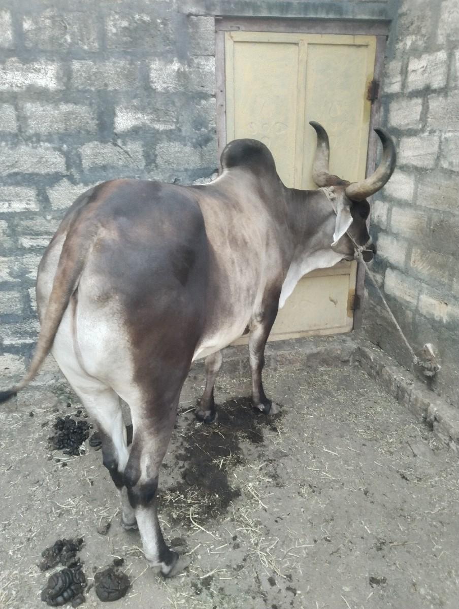 थंबनेल 2