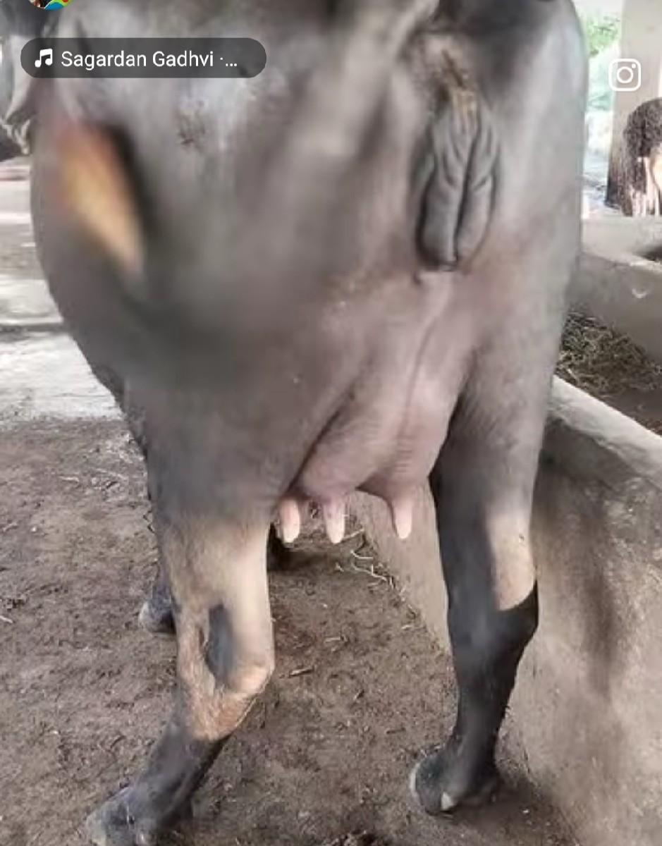 ખણાય વેચવાની છે