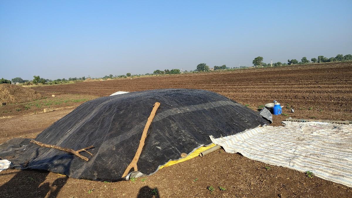 ગિરનાર 4