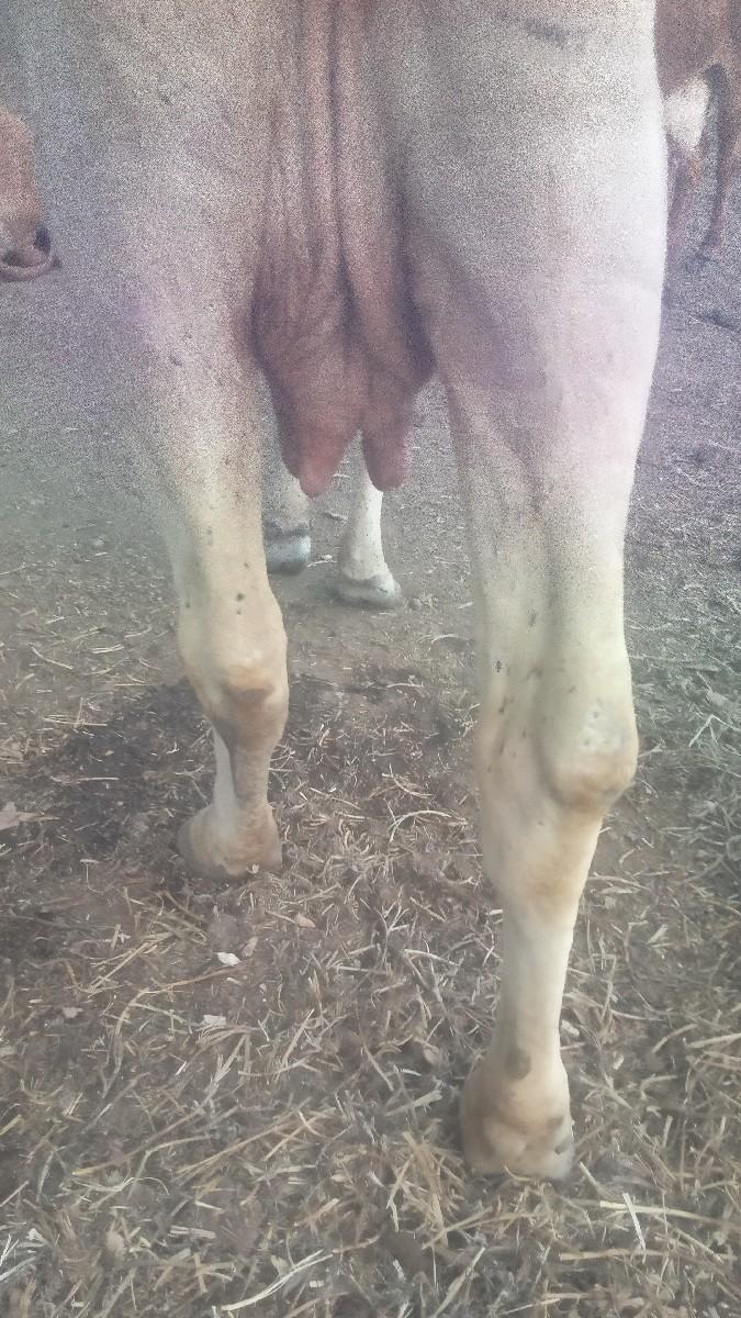 થંબનેલ 3