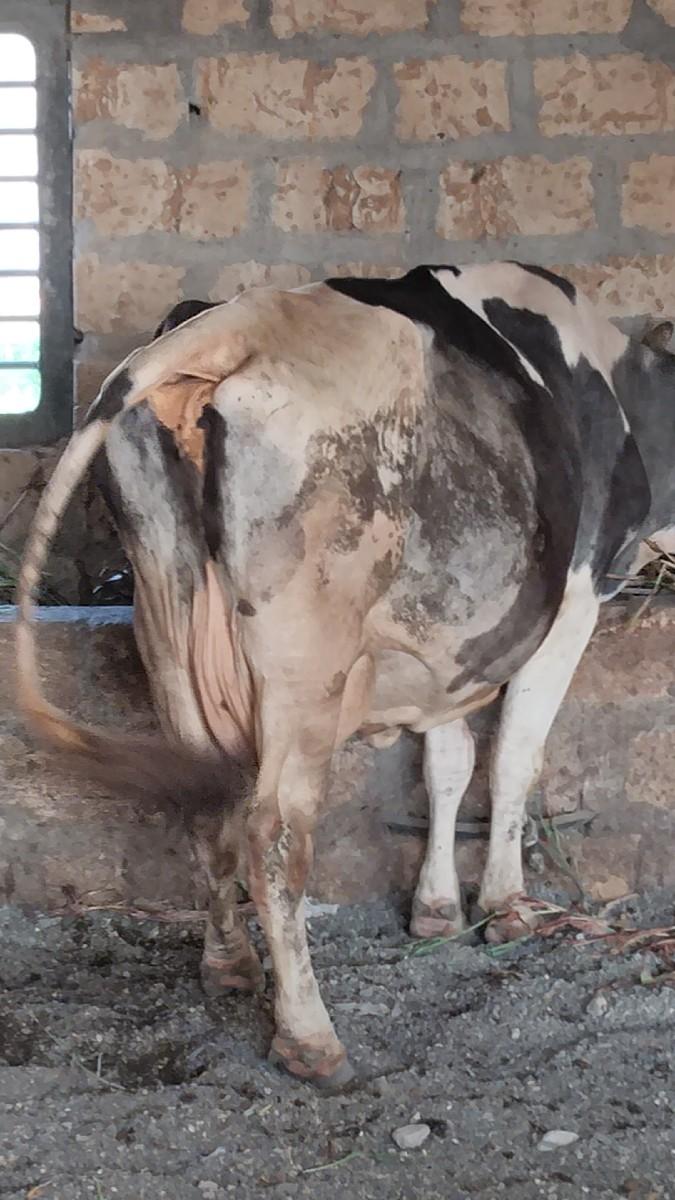 થંબનેલ 3