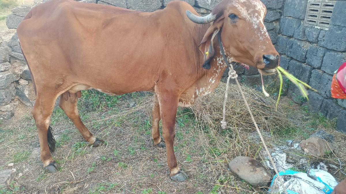 વેચવાની છે