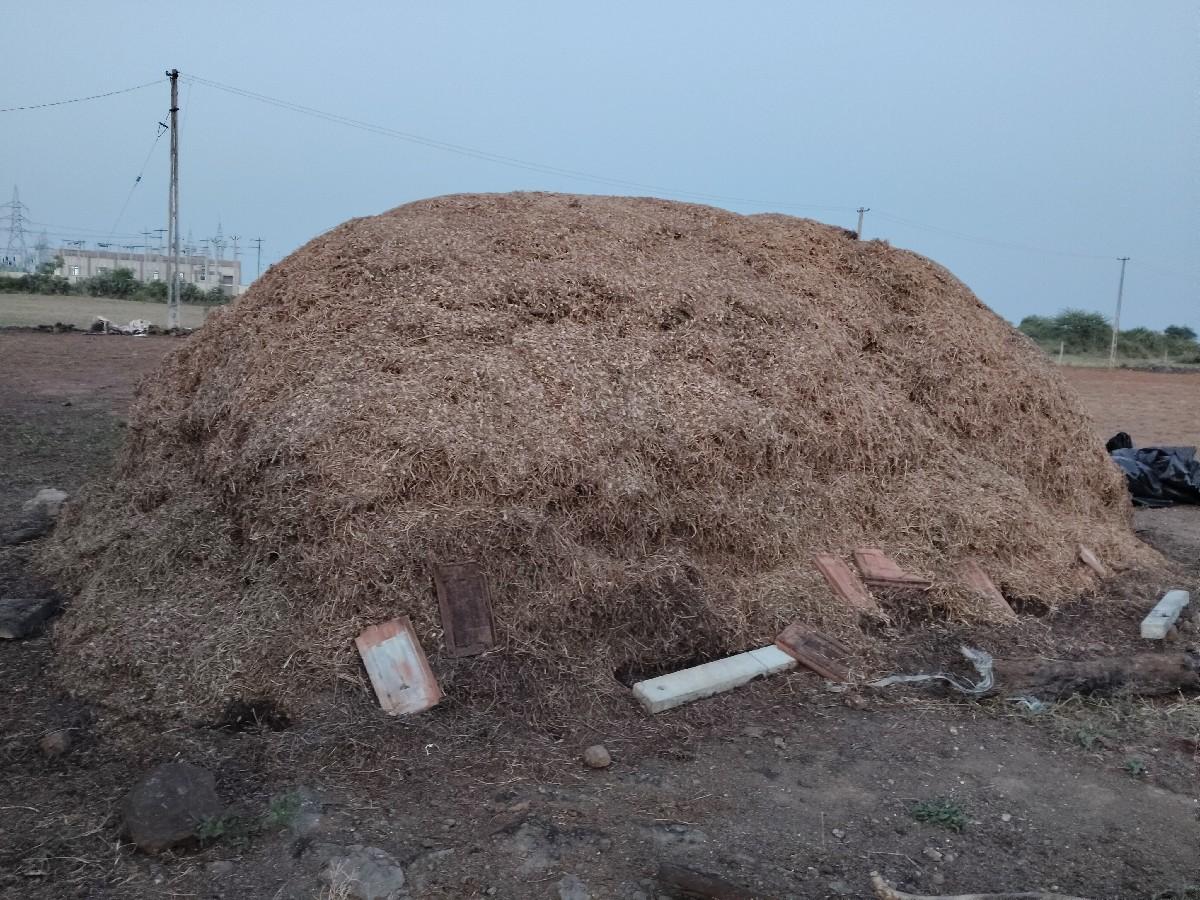 jivish mandavi no saro