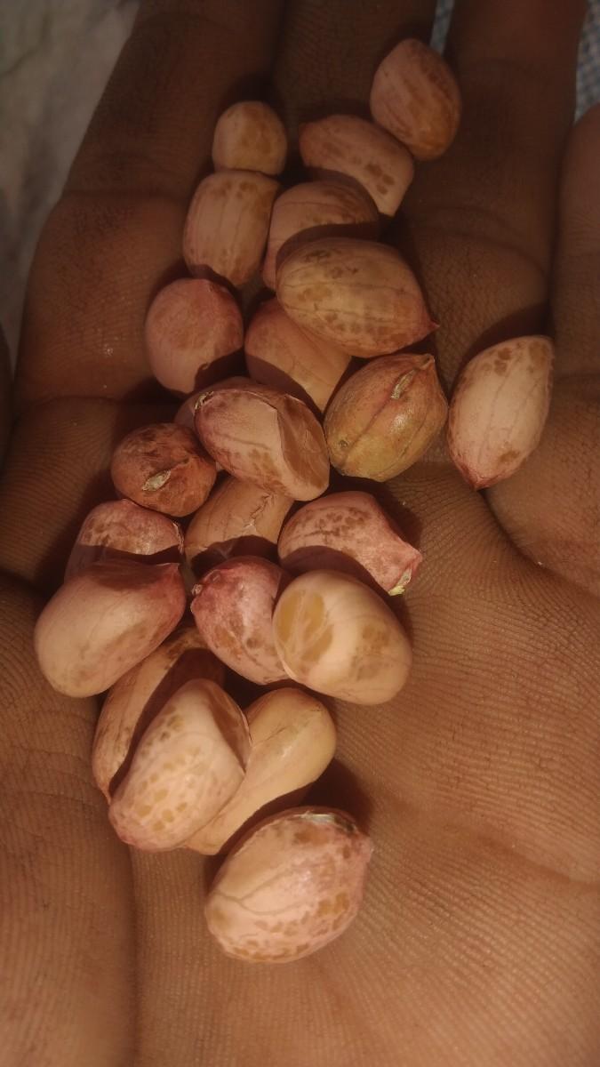 થંબનેલ 2