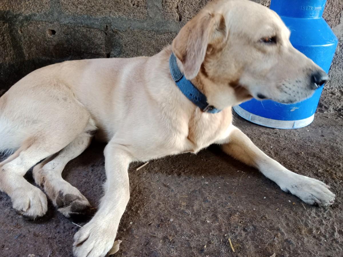 થંબનેલ 3