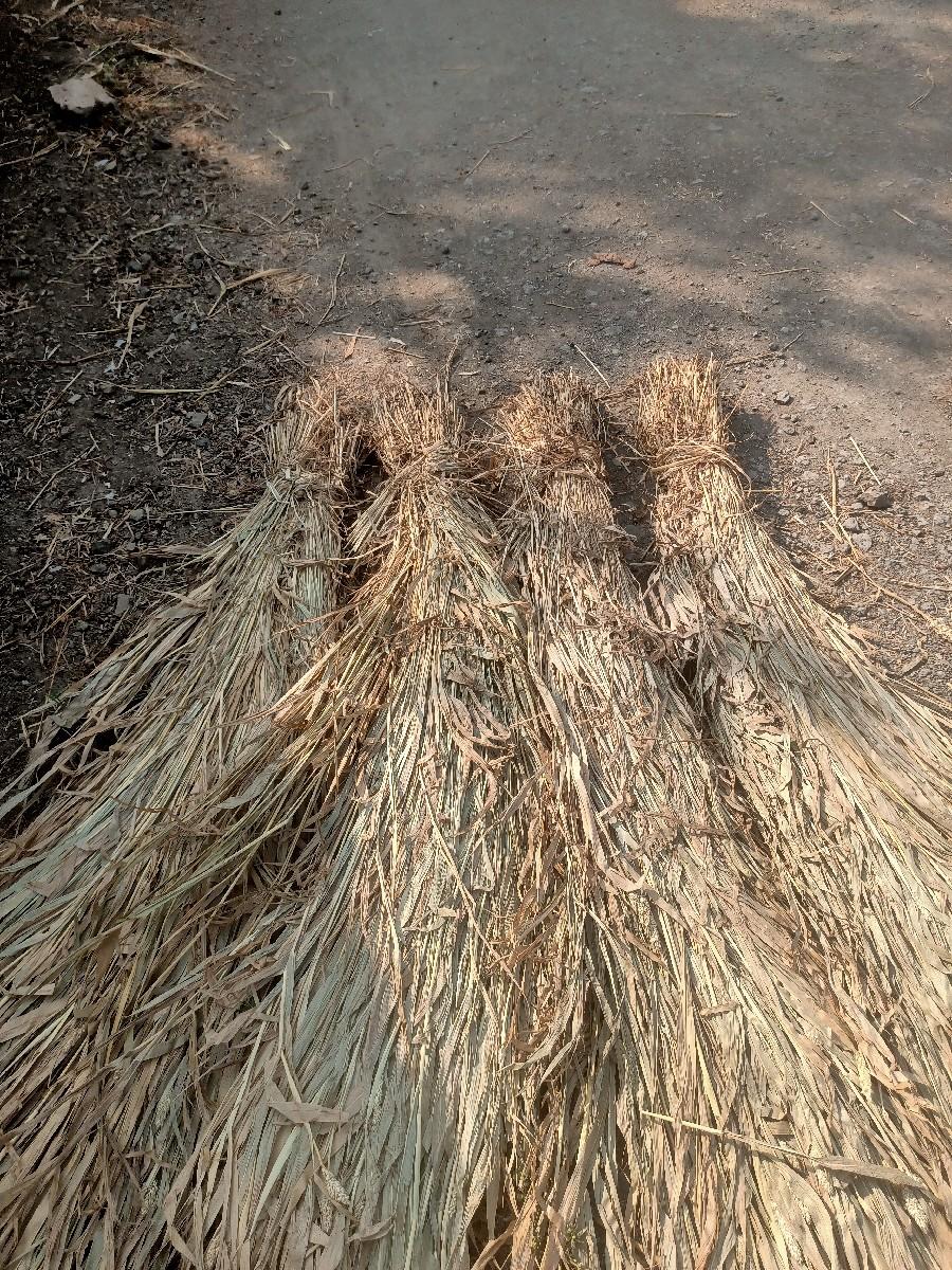 શારના પુરા વેચવાના છે.