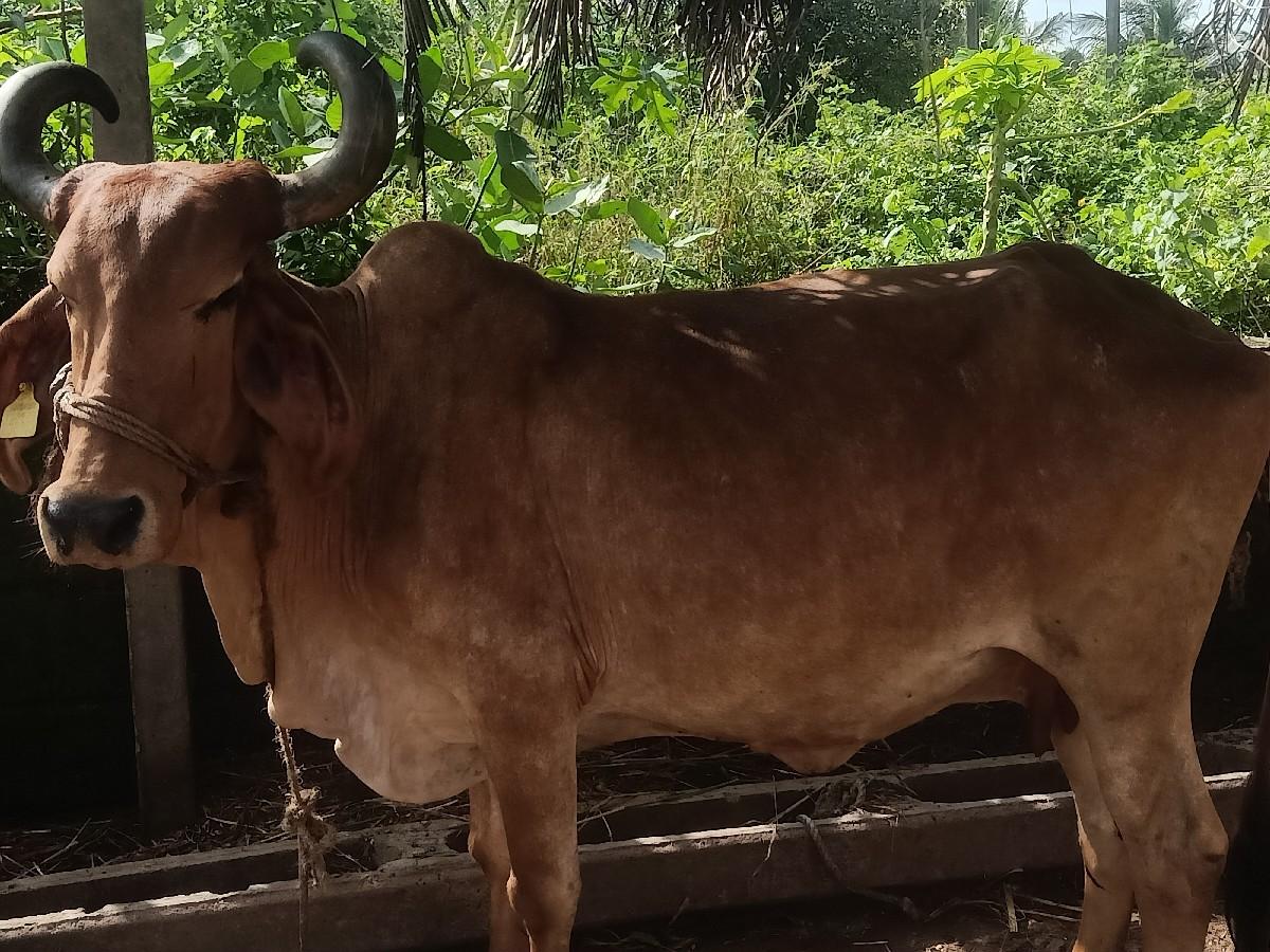 થંબનેલ 3