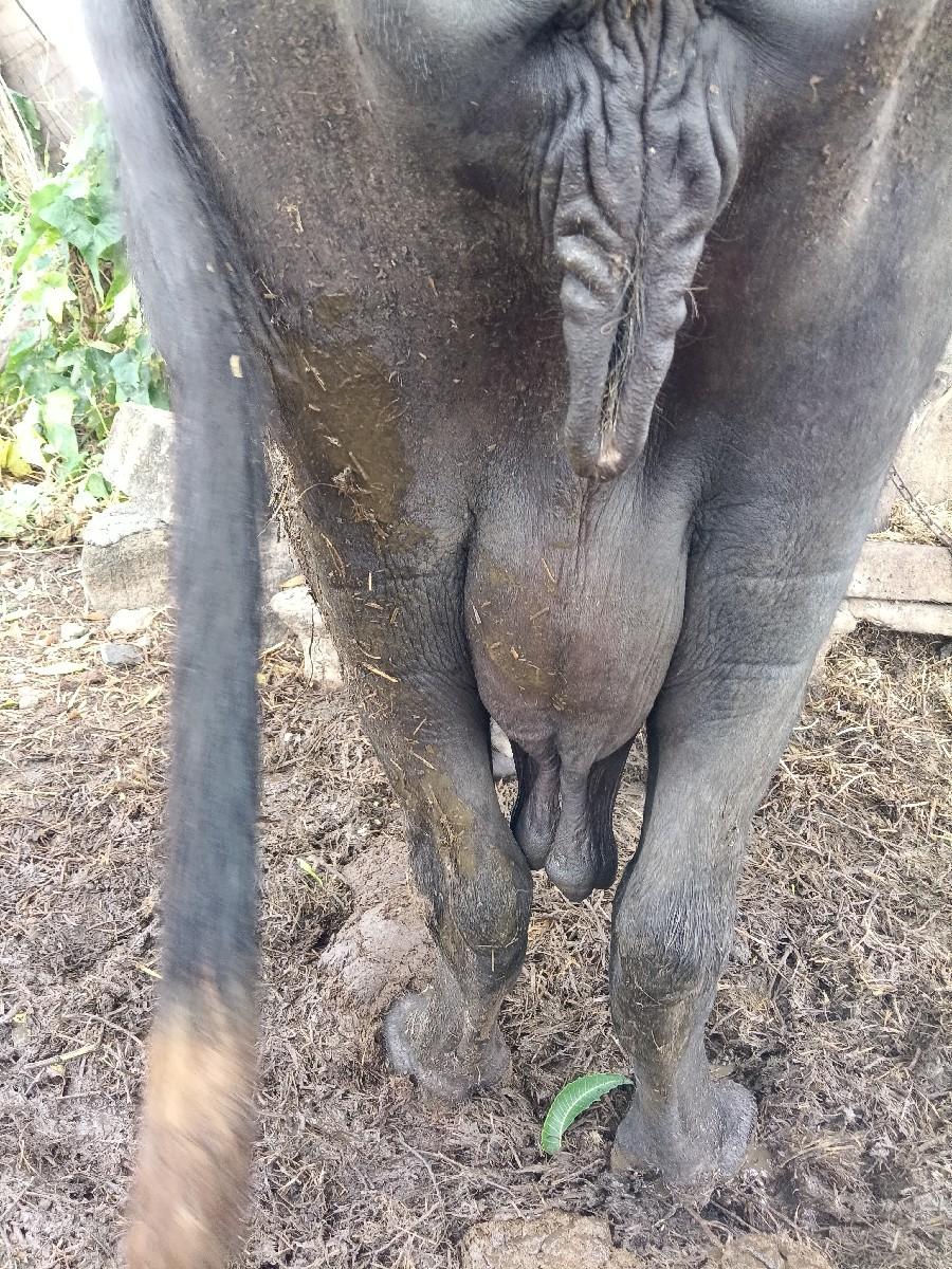 થંબનેલ 3