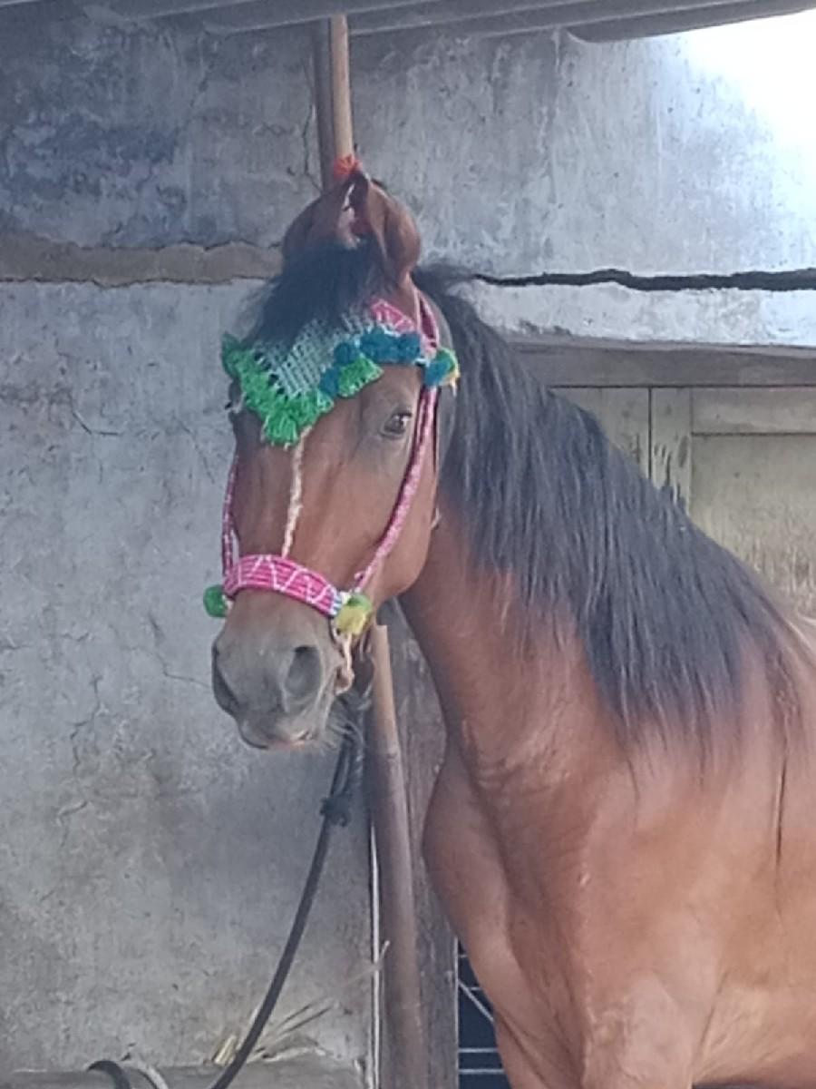 થંબનેલ 2