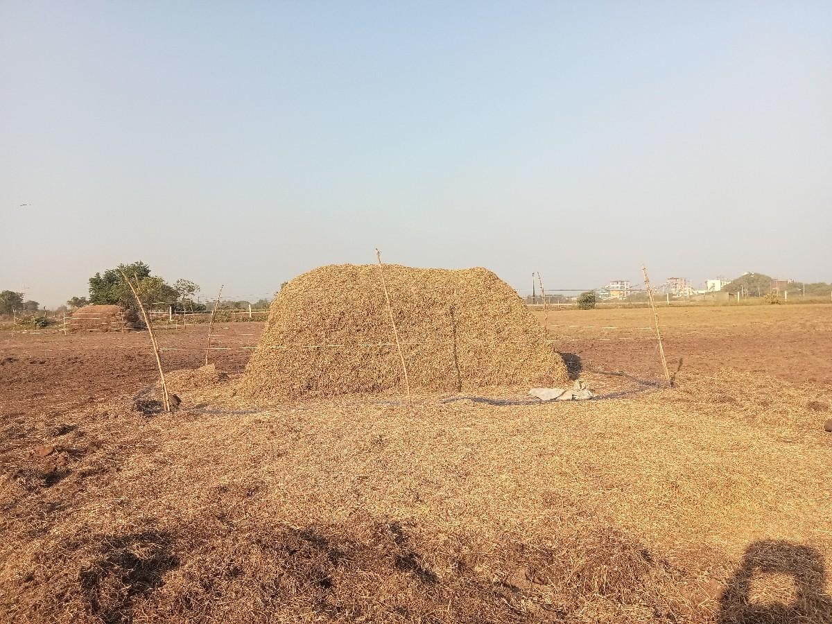 જી ૨૦  નૌ પાલૌ વેસવા નૌ સે