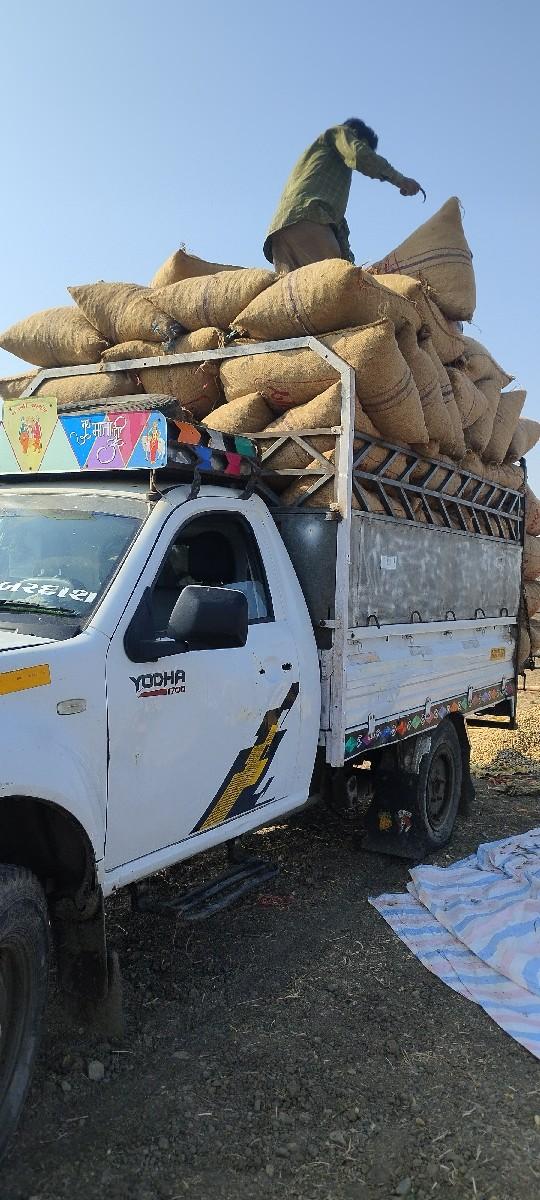 થંબનેલ 2