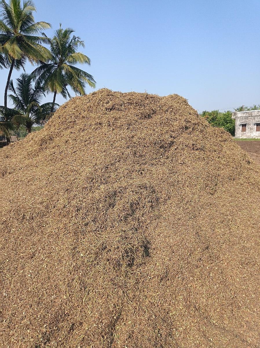 માંડવીનો ચારો વેચવાનો છે