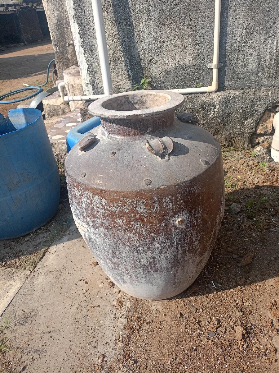 1300 ચીની માટી ગોરી