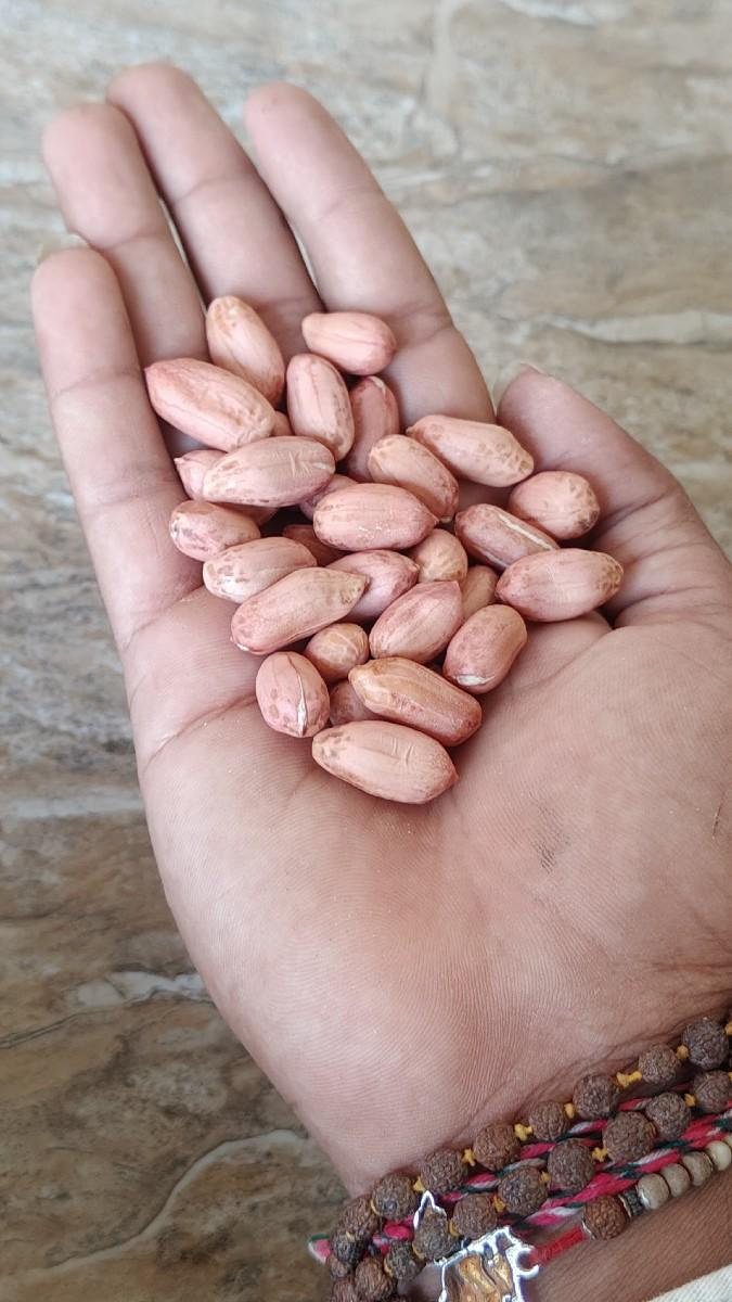 થંબનેલ 2