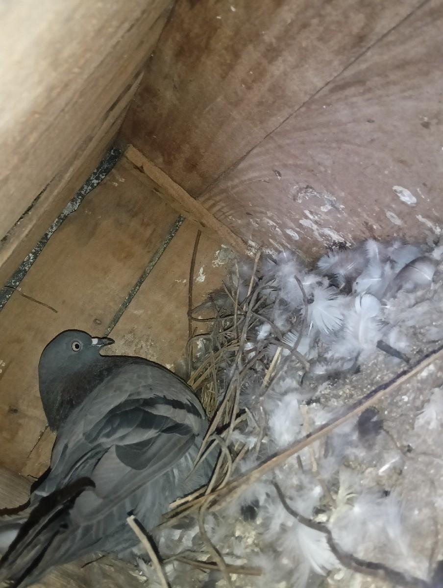 થંબનેલ 2