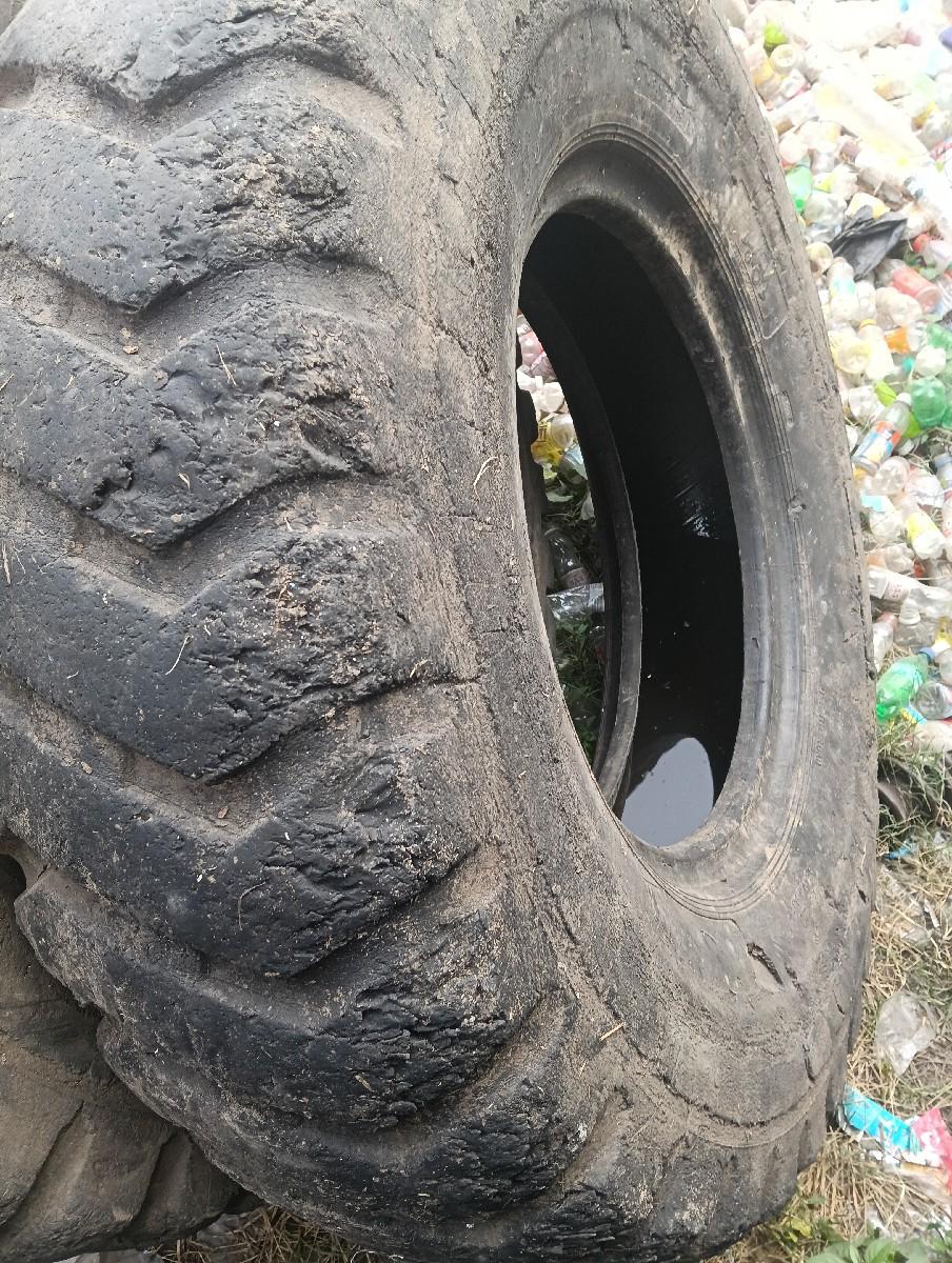 थंबनेल 2