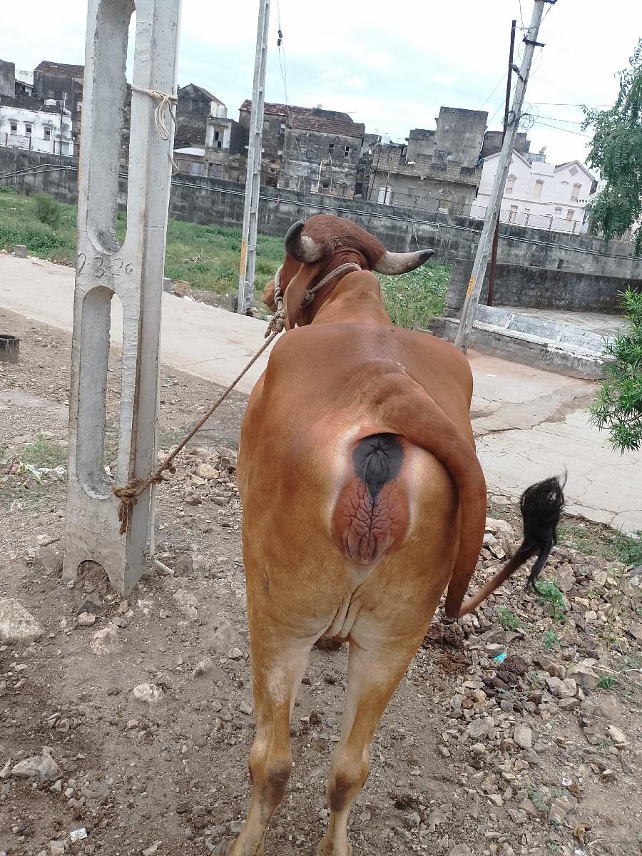 થંબનેલ 2