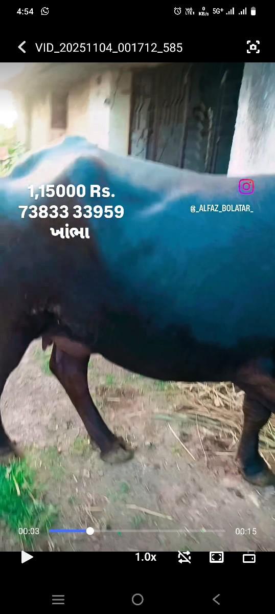 વેચવાની છે