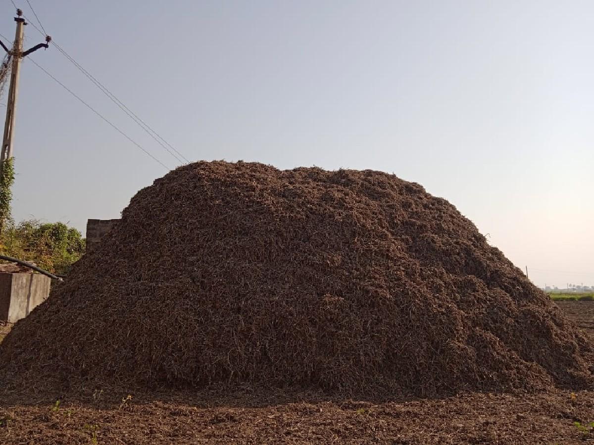 બીટી 32 નો ભુકો વેસવાનો સે