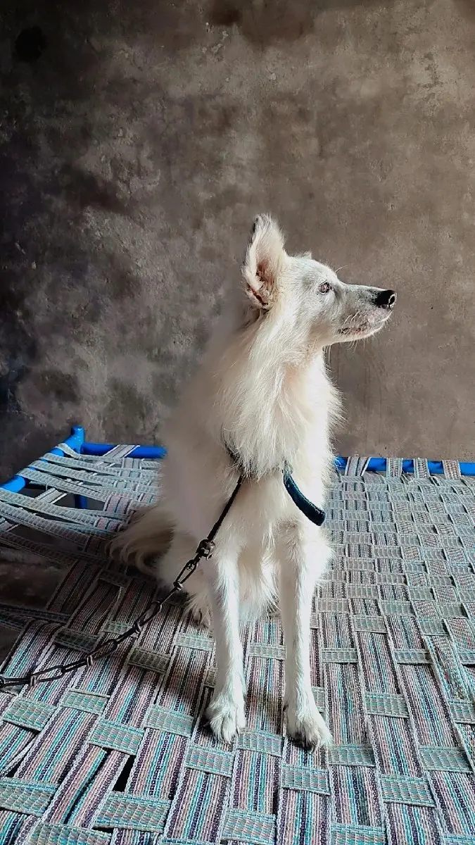 થંબનેલ 3