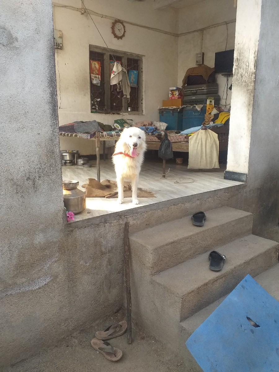 थंबनेल 2